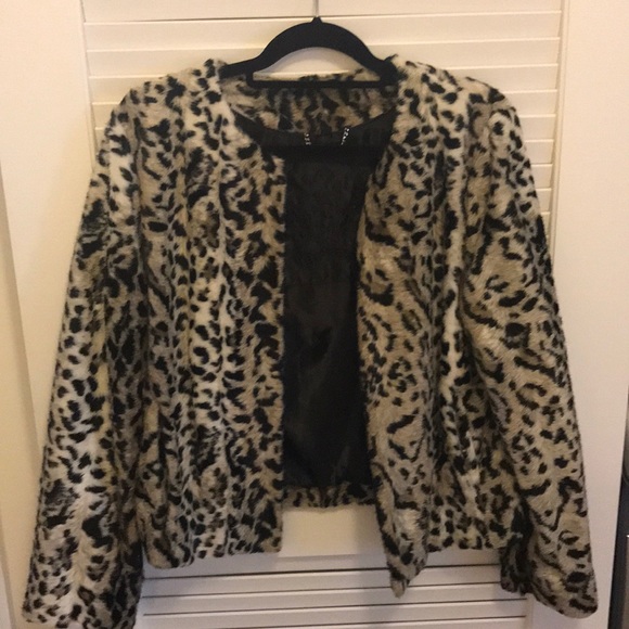 Jacket - Picture 1 of 2